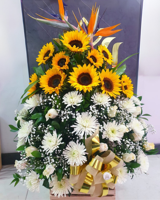 FLORES DE PAZ