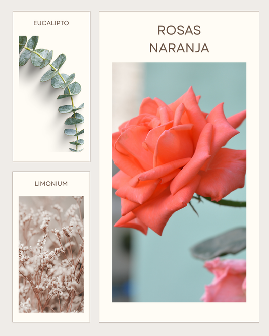 MAGNOLIA