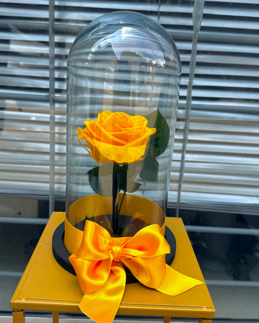 ROSA INMORTAL