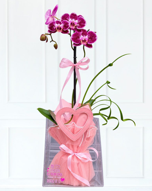 ORQUÍDEA EMPACADA