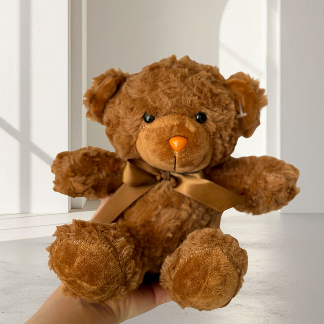 Oso de Peluche